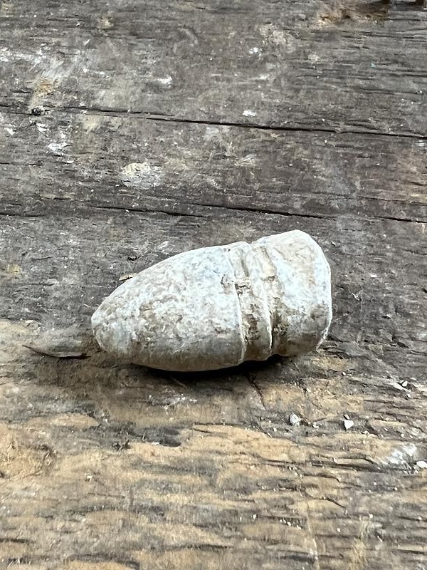 Civil War Dropped .577 CS Gardner Bullet From Bill Adams Collection