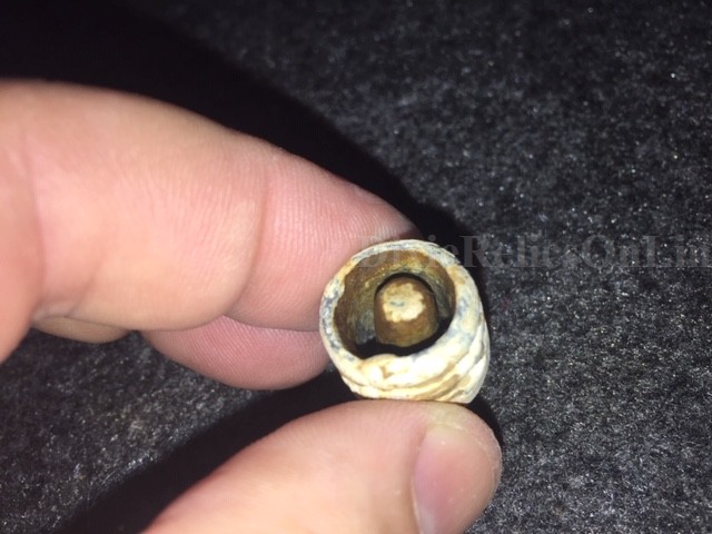 Rare 69 Cal. Two Ring Musketoon Bullet with Teat Cavity