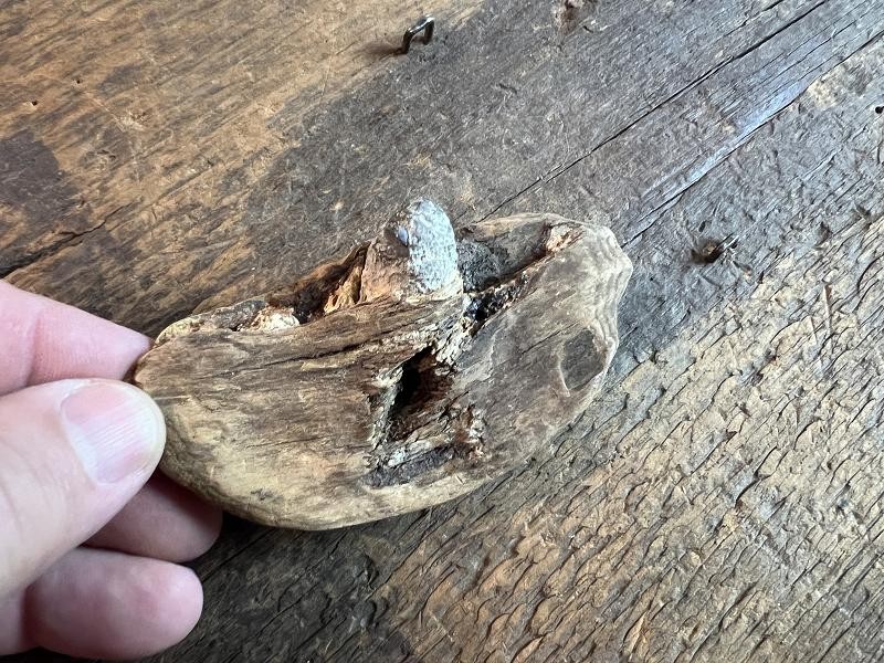 Civil War Relic 58 cal Bullet In Wood Bill Adams Collection