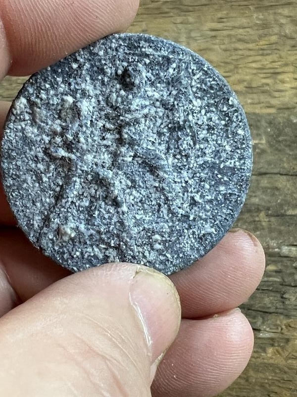 WWII GERMAN TINNIE PIN
