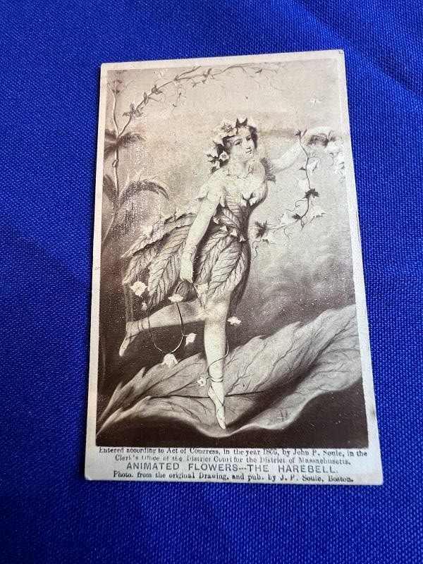ANIMATED FLOWERS THE HAREBELL ACT OF CONGRESS 1866 CDV IMAGE