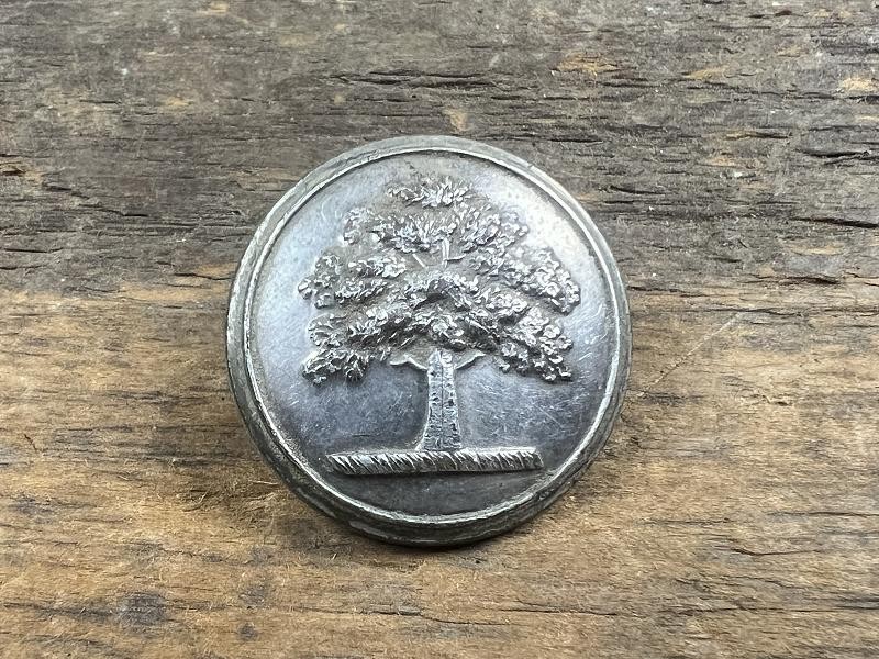1840S FIRMIN AND SONS LONDON BM OAK TREE 1 PC COAT BUTTON