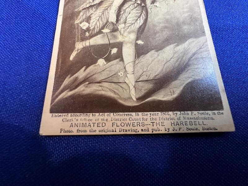ANIMATED FLOWERS THE HAREBELL ACT OF CONGRESS 1866 CDV IMAGE
