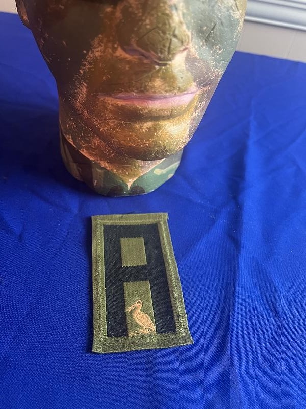 US WWI WORLD WAR ONE MODEL 1917 CAMO HELMET PAINTED COASTAL ARTILLERY PELICAN INSIGNIA AND PATCH