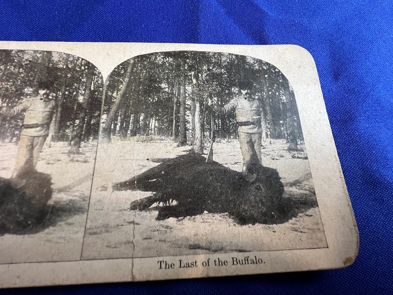 LAST BUFFALO STEREOVIEW CARD PHOTO 1898
