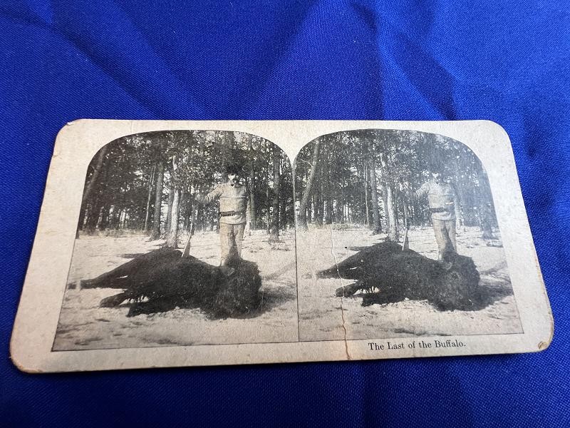 LAST BUFFALO STEREOVIEW CARD PHOTO 1898