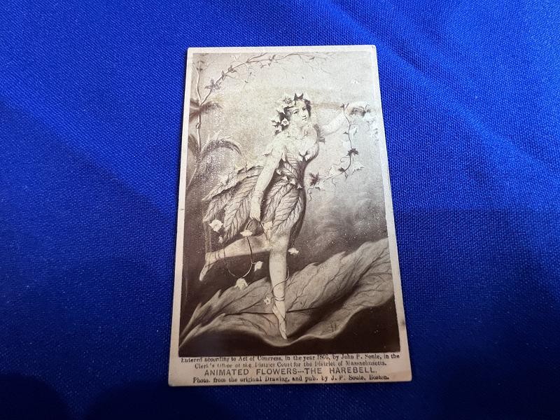 ANIMATED FLOWERS THE HAREBELL ACT OF CONGRESS 1866 CDV IMAGE