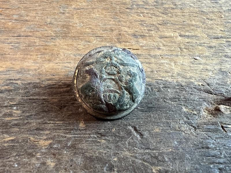 DUG CIVIL WAR MICHIGAN STATE OFFICERS COAT BUTTON