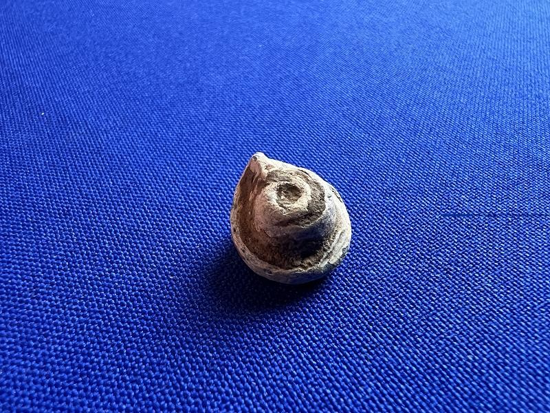 DUG CIVIL WAR CARVED LEAD NIPPLE PROTECTOR DALTON WINTER CAMP