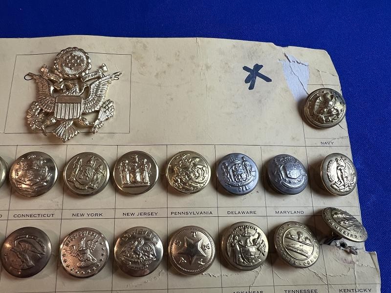 COLLECTION OF ALL USA STATE SEAL COAT BUTTONS AND ARMY NAVY ON ORIGINAL CARD