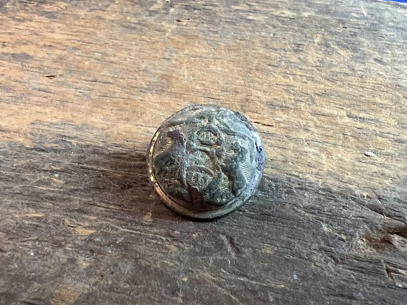 DUG CIVIL WAR MICHIGAN STATE OFFICERS COAT BUTTON